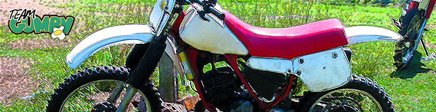 image of yz100l