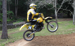 Try this Hooter, it your blend.