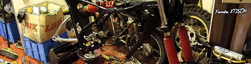 Project of the XT250H